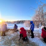 Yellowknife: Indigenous Dog Sledding Experience - An In-Depth Look at the Yellowknife Dog Sledding Experience