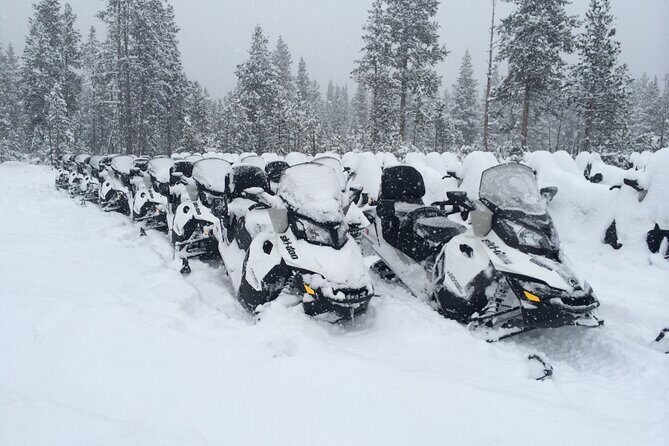 Yellowstone Grand Canyon Full Day Snowmobile Tour - FAQs