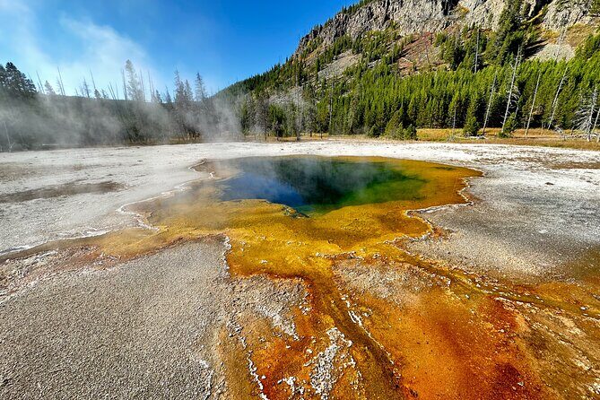 Yellowstone Lower Loop Full-Day Tour - Who Will Love This Tour?