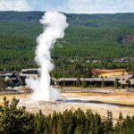 Yellowstone: Private Guided Tour - Who Would Love This Tour?