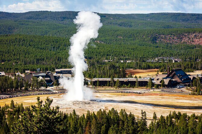 Yellowstone: Private Guided Tour - Who Would Love This Tour?