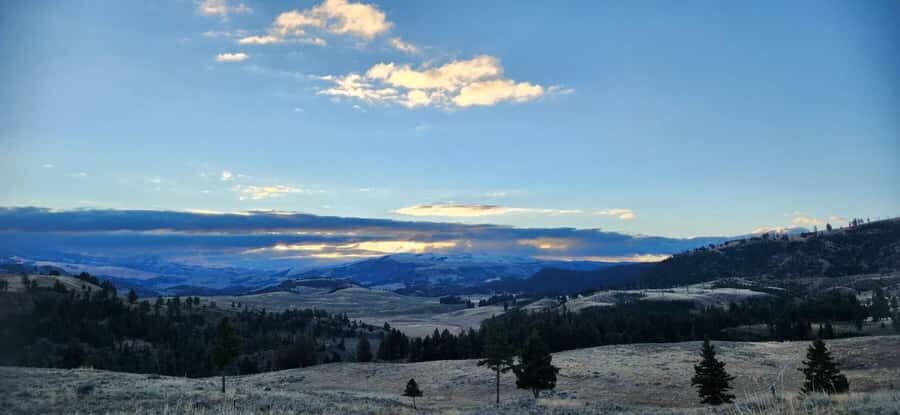 Yellowstone: Wildlife Tour with Coffee and Photos - The Itinerary Breakdown