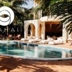 Yoga Lifestyle Day - A Deep Dive into the Yoga Lifestyle Day Experience