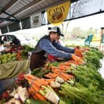 Yolo: Vineyards, Farms & Cultural Gems - Audio Driving Tour - Who Will Love This Tour?