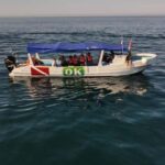 Zihuatanejo Ixtapa Humpback Whale Watching - An In-Depth Review of the Humpback Whale Watching Tour