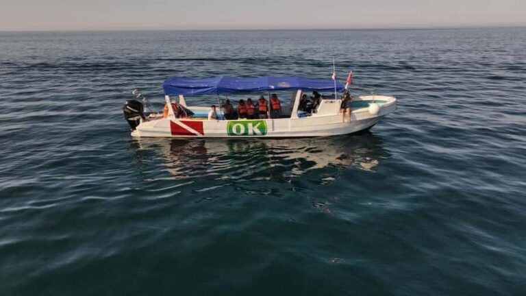 Zihuatanejo Ixtapa Humpback Whale Watching - An In-Depth Review of the Humpback Whale Watching Tour