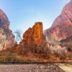 Zion National Park by Tour Trekker - Why This Tour Offers Real Value