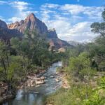 Zion National Park: Half-Day Hiking Tour with Guide - What Makes This Tour Stand Out?