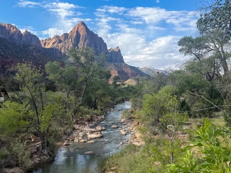 Zion National Park: Half-Day Hiking Tour with Guide - What Makes This Tour Stand Out?