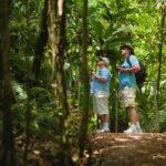 Zipline Adventure San Luis From San José - The Zipline Course and Experience