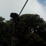 Zipline. Butterfly Garden and Hanging Bridges Tour from San Jose - Final Thoughts: Is It Worth It?