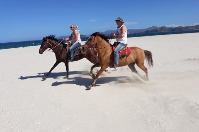 1 Hour Private Horseback Riding Tour in Playa Conchal - Who Is This Tour Best Suited For?