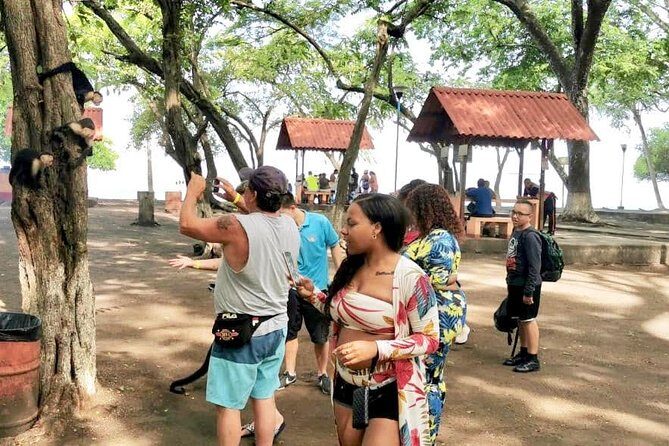 10 in 1 Puntarenas Highlights tour - Authentic Experiences and Highlights