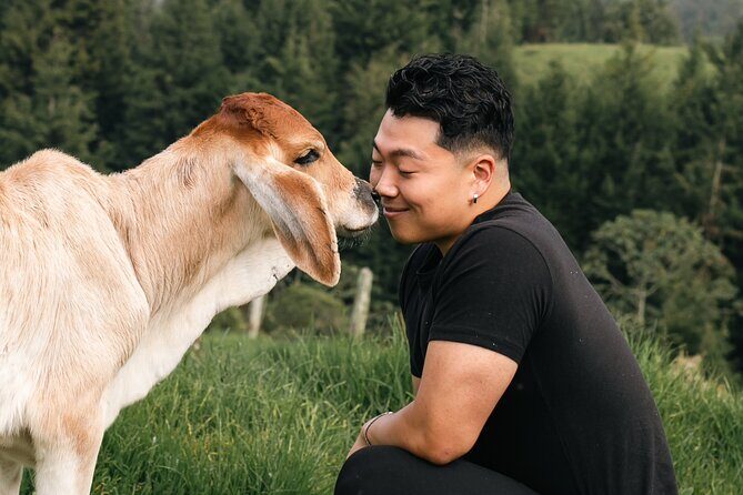 100-Year-Old family-run Finca: Horseback Riding & More - A Deep Dive into the Experience