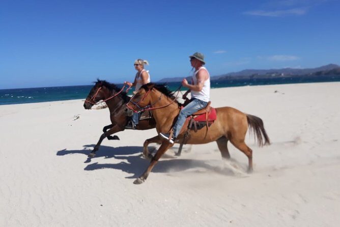 1,5 Hours Private Horseback Riding Tour in Playa Conchal - The Itinerary in Detail
