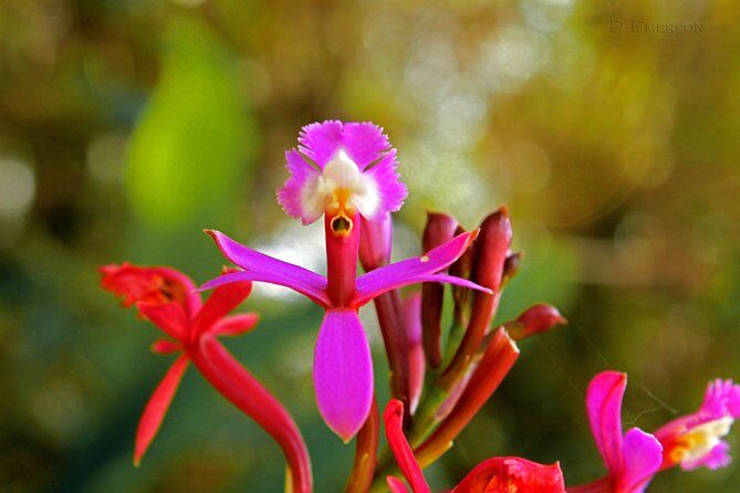 2 Day - Short Inca trail to Machu Picchu - Private Services - Final Thoughts: Is This Tour for You?