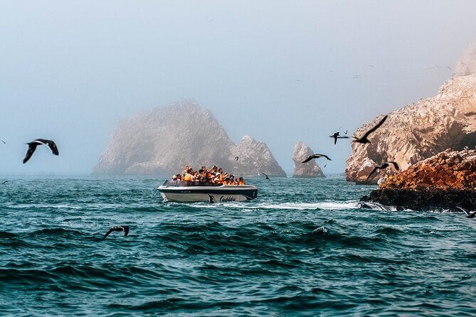 2 Day Tour from Lima: Paracas, Ballestas Island and Huacachina - What Sets This Tour Apart