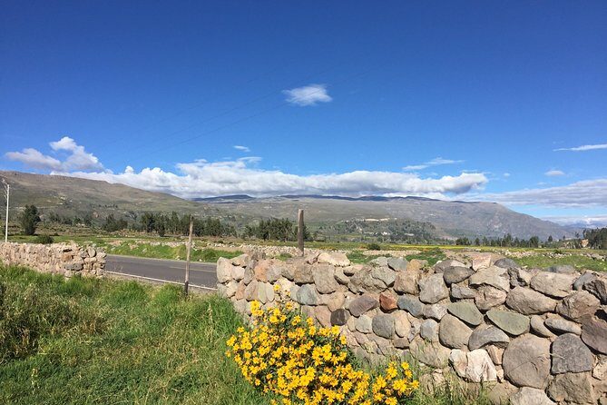 2 Day Trek Including Transfer to Puno / Colca Canyon - Who Is This Tour Best For?