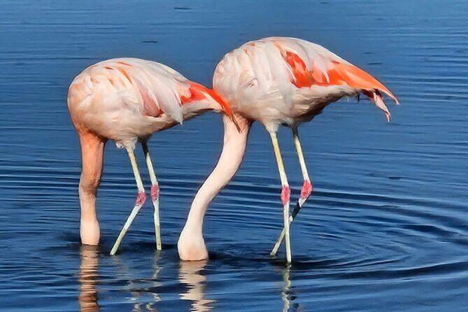 3-Day Tour in San Pedro de Atacama - Exploring the Itinerary: What Each Day Brings