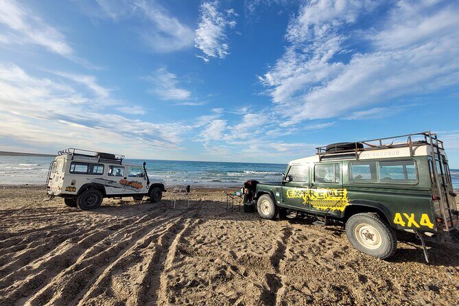3 hour 4x4 tour around Puerto Madryn - What Makes This Tour Stand Out?