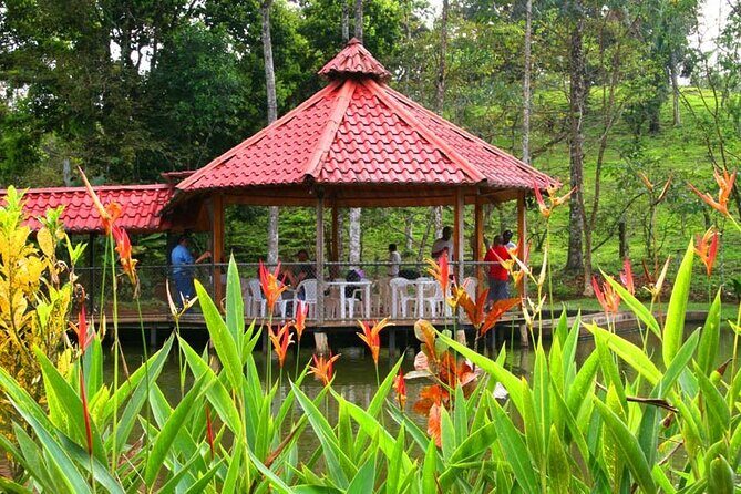 3-Hour ATV Jungle Waterfall Adventure - Who Should Consider This Tour?