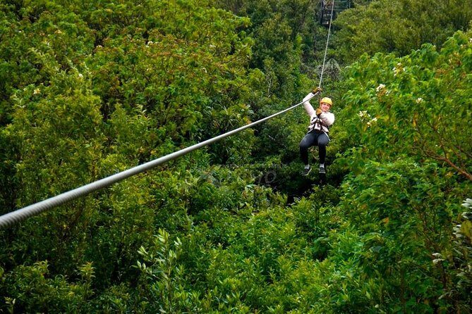3 hours of the Longest and Highest Extreme Zip line Experience in Monteverde - The Rappel and the Hammock Bridge