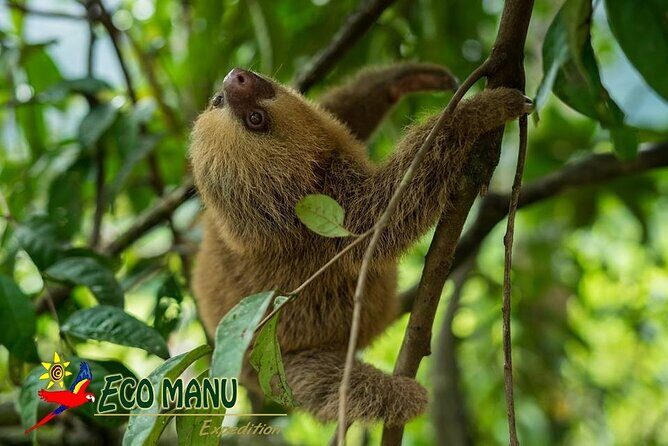 4-Day Private Tour to Manu National Park from Cusco - Authentic Experiences and Customer Feedback