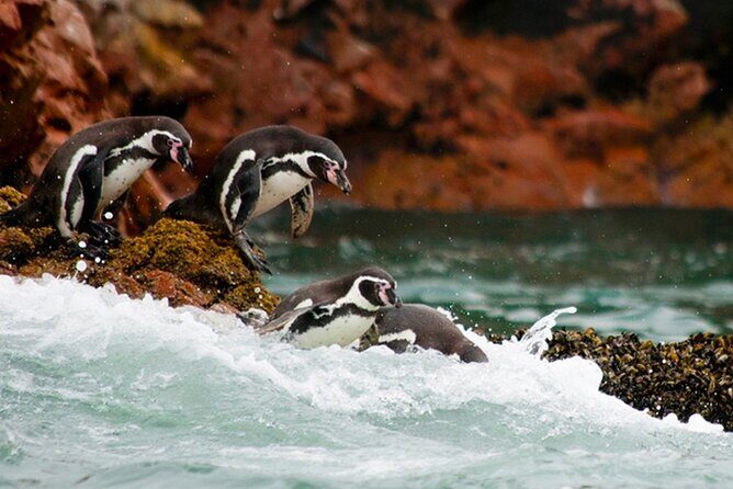 4 Day Tour from Lima: Nazca Lines Flight, Paracas, and Huacachina - Day 3: Pisco, Vineyards, and Nazca Geoglyphs