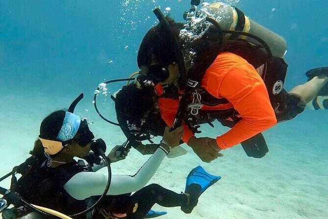 4 Hour Scuba Diving Course in Tayrona Park - Who Should Consider This Tour?