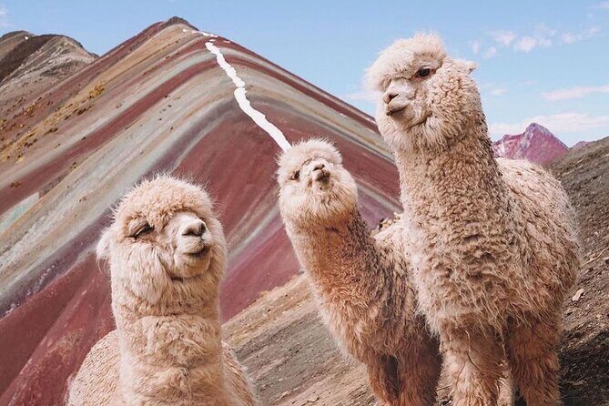 5-Day Tour: Machu Picchu, Sacred Valley and Mountain of Colors - Why This Tour Is a Great Choice