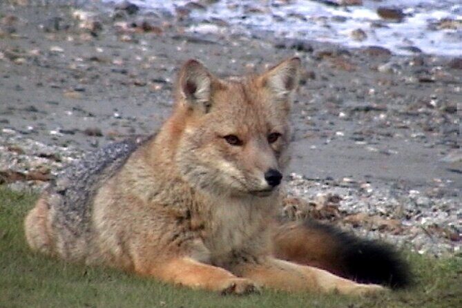 5-Hour National Park + City tour - USHUAIA (Private Tour) - Final Thoughts