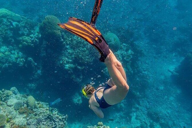 5 islands tour to rosario Islands with snorkeling activity! - FAQ