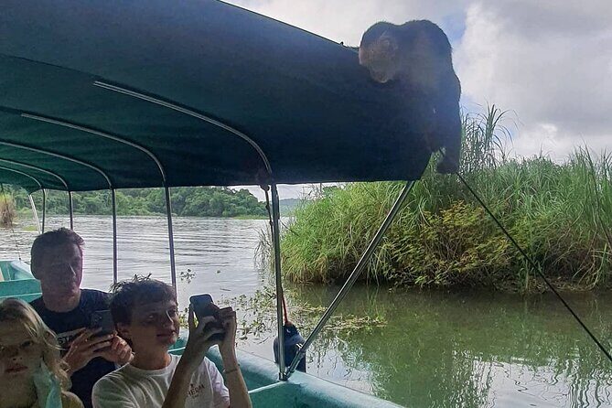 7 Hours Monkey Island and Nature Walk at Soberania National Park - Authentic Experiences That Stand Out