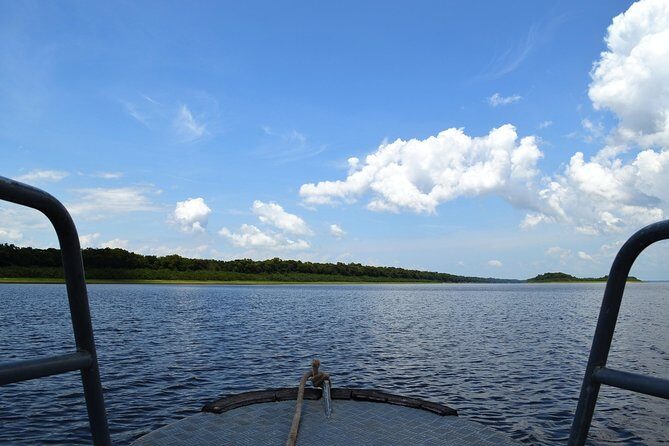 8-Hour Amazonas Jungle Treck & Anavilhanas Archipelago - Authenticity, Value, and Who Should Book