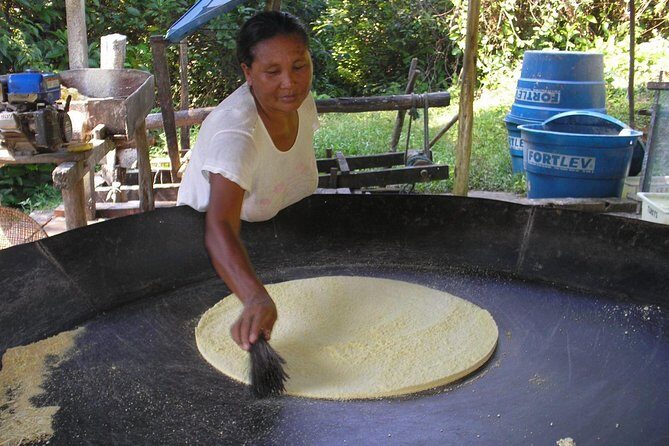 A Whole Day in the Jungle - Considerations and Practical Tips