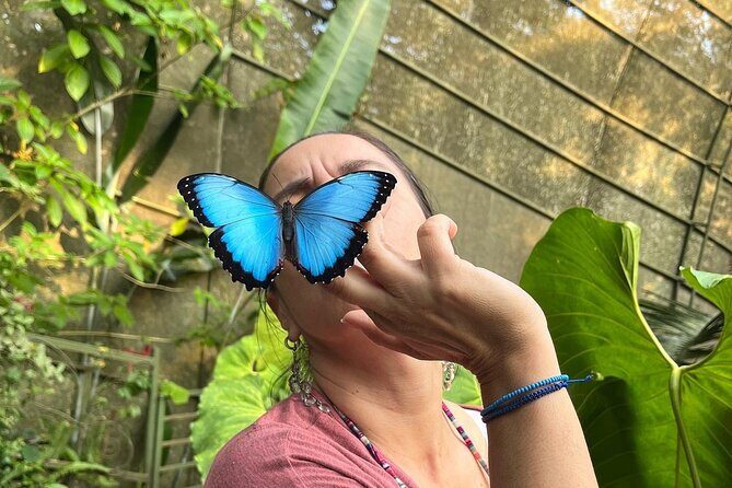 Admission to Andoke Butterfly Center in Cali with Release Ritual - Authentic Experiences and Visitor Feedback