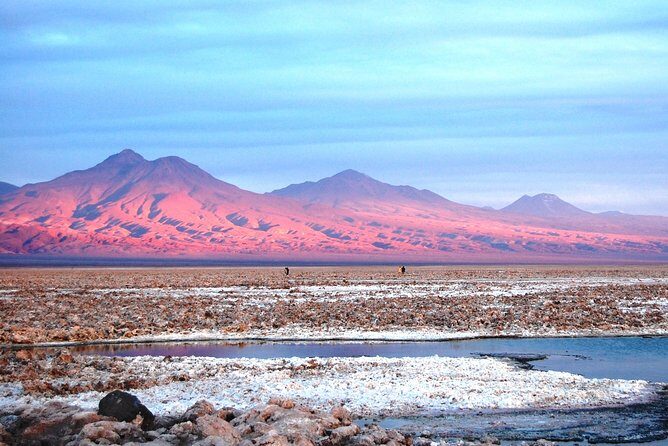 Altiplanic Lagoons & Piedras Rojas Tour from San Pedro de Atacama - A Detailed Look at the Tour Experience