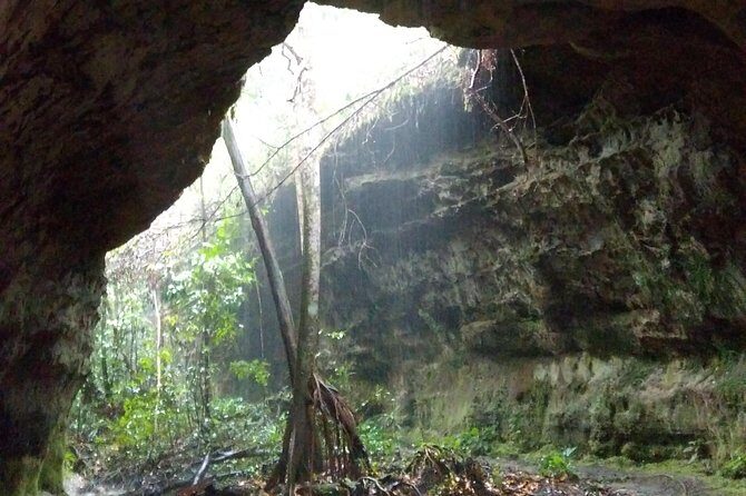 Amazon Rainforest Tour, Trails, Jungle, Caves and Waterfalls - Who Should Book This Tour?