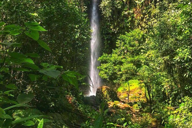 Amazon Tour in Ecuador: Puyo Day Trip from Baños - Who Will Love This Tour?