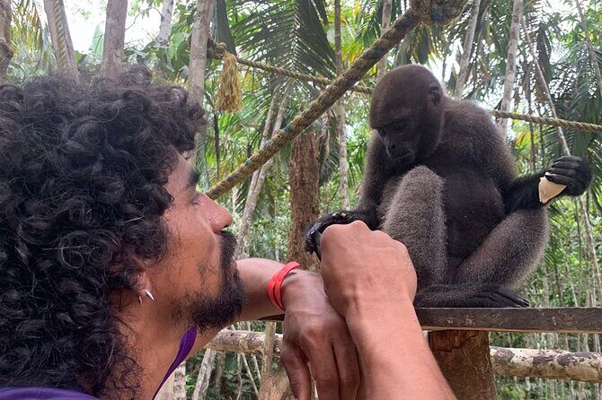 Amazon Unveiled: Private Ancestral Immersion & Conscious Luxury - Who Is This Tour Best For?