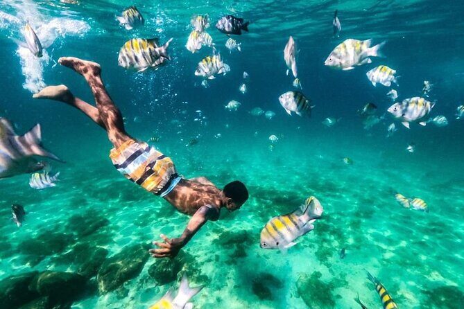 Angra dos Reis: A unique experience in paradise - Meeting Points and Timing