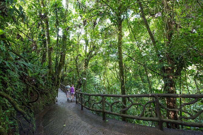 Arenal Hanging Bridges, Guided Walk, Hot Springs Optional - The Sum Up