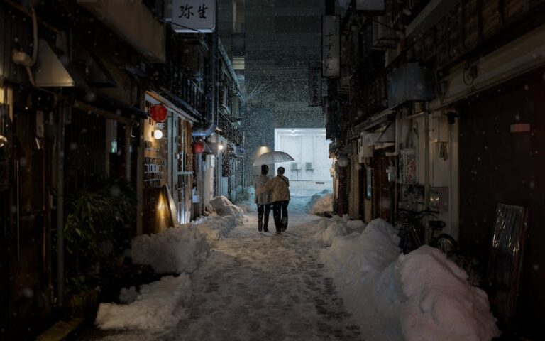 Couple walking under an umbrella in a snow-covered