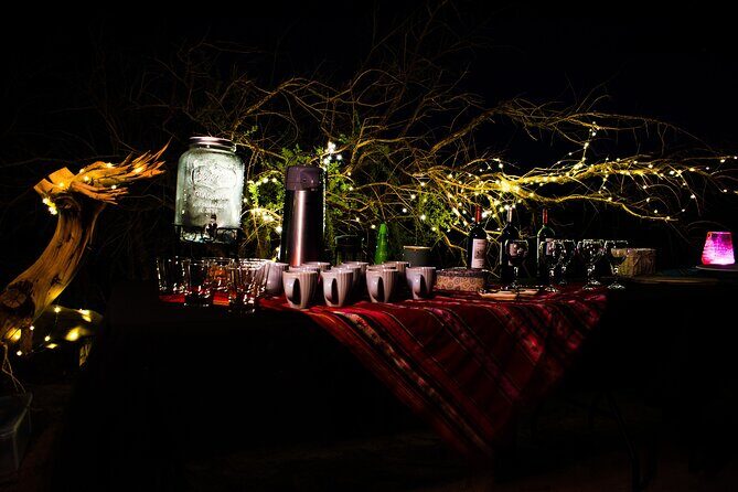 Astronomical Tour "Under the Night Sky" - Practical Considerations