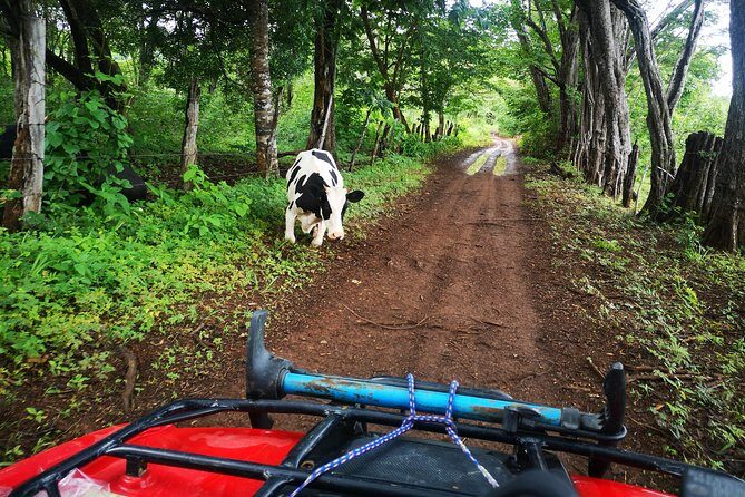 ATV adventure from Riu, Secrets and papagayo - The Sum Up: Is This Tour for You?