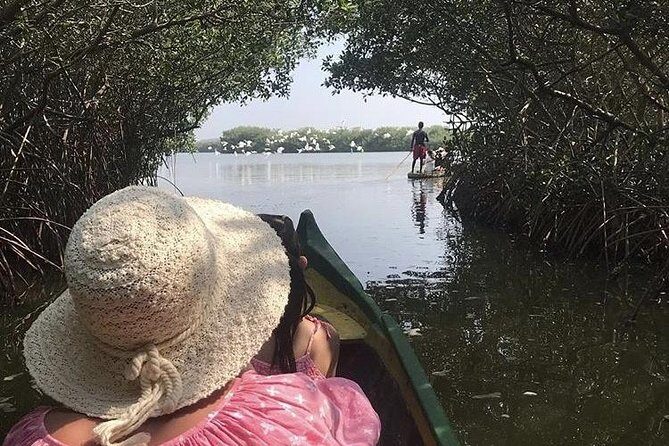 Authentic Cartagena City Tour - Who Should Consider This Tour?