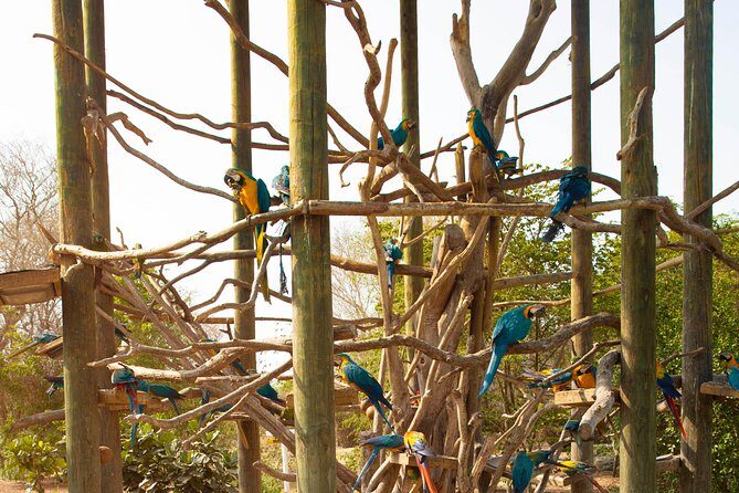 Aviario Nacional Including Playa Blanca Shared Tour - Final Thoughts: Is it Worth It?