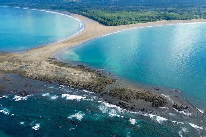 Bahia Ballena Whale and Dolphin Tour - Morning - What Sets This Tour Apart?