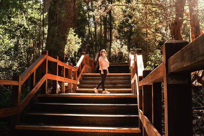 Bariloche: Boat Trip to Victoria Island and the Arrayanes Forest - Authentic Experiences and Authentic Challenges