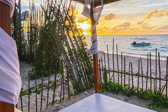 Baru and Playa Blanca Full Day - Who Should Book This Tour?